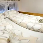 Apartma Laznica *