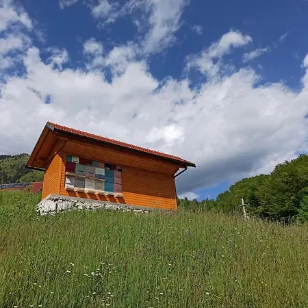 Apartment Laznica *